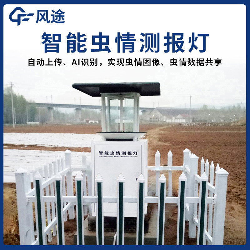 一只蟲子眼中的 “致命陷阱”—— 蟲情測(cè)報(bào)燈